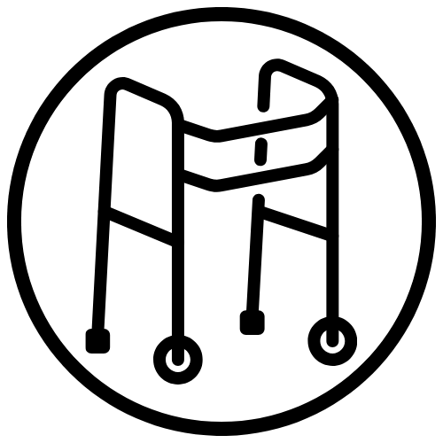 ortopedia geriatrica