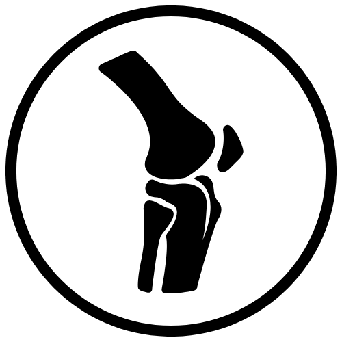 rodilla
